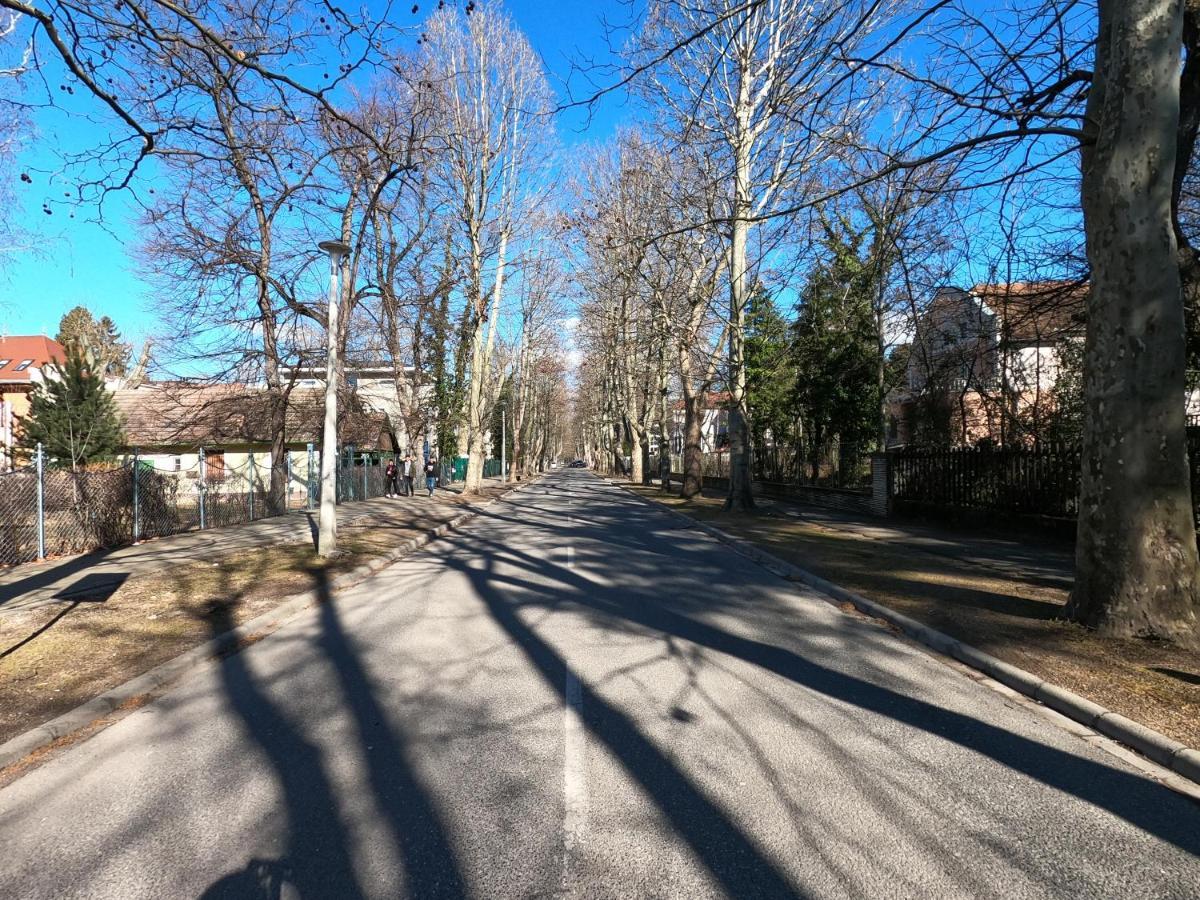 שיופוק Gosztonyi Villa מראה חיצוני תמונה